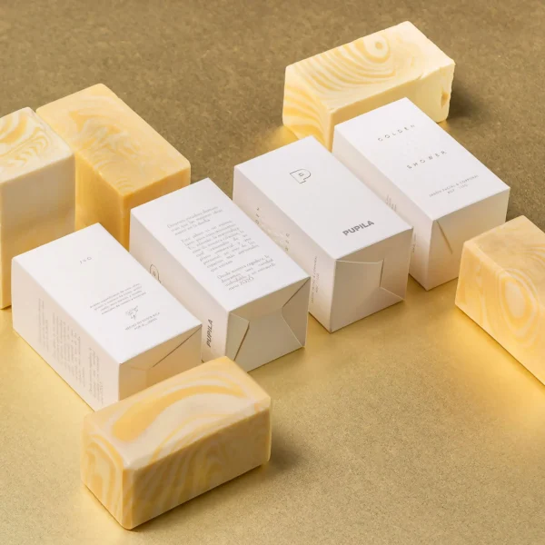 Auto Lock Boxes